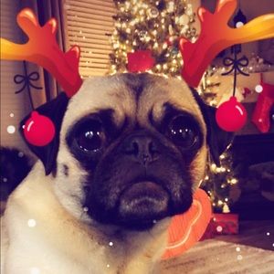 Meet your Posher, Thyra